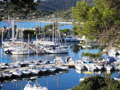 183 D23 BORMES LES MIMOSAS 1_000013